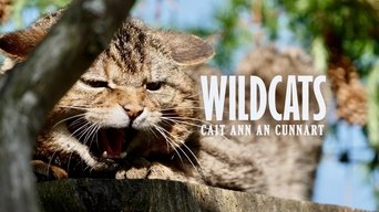 Wildcats: Cait ann an Cunnart - S1E01