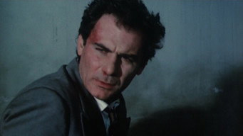 #5 The Suspect