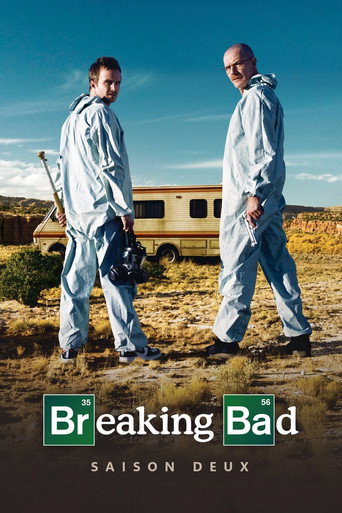 Breaking Bad - S2 - Épisode 9 : Seuls au monde - Affiche