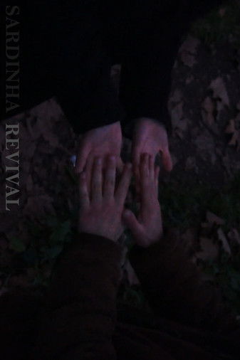 Sardinha Revival poster