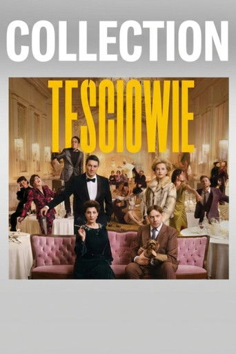 The In-Laws Collection poster