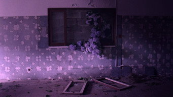 Flores (2017)