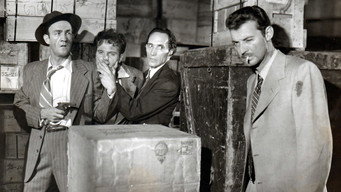 #11 Guilty Bystander