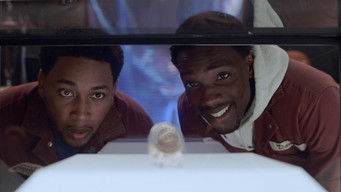 Galeria 2 - House Party