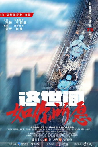 这世间如你所愿 poster
