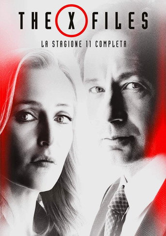 Stagione 11