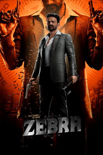Zebra — Posters 14