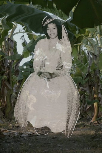 หอมสุวรรณ