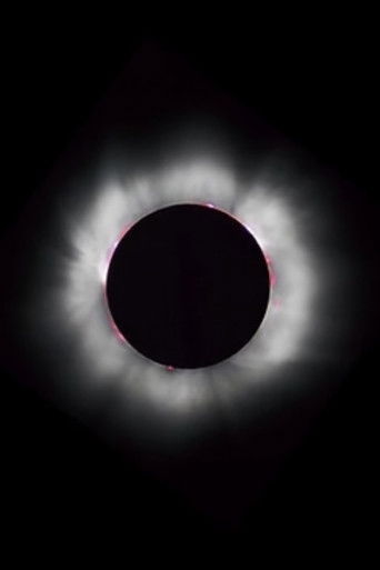 CORONAL LOOPS poster