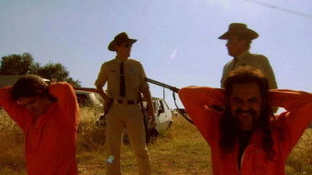 La furia de Mackenzie (2009)
