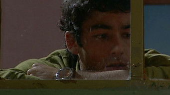 第219話：Episode 219