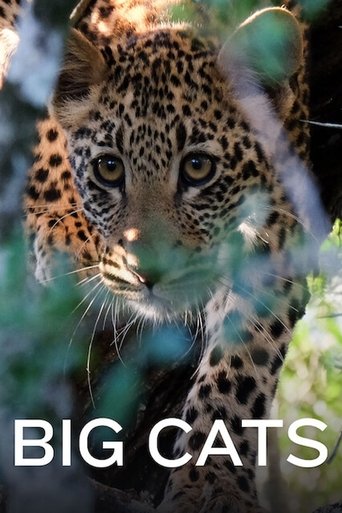 Poster for Big Cats