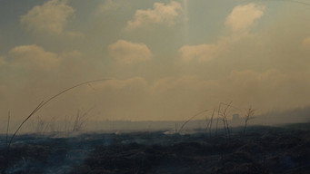 #10 Gary