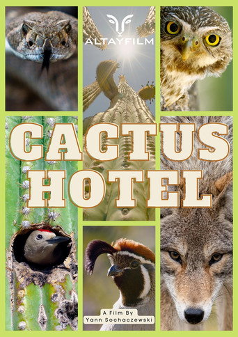 Cactus Hotel (2023)