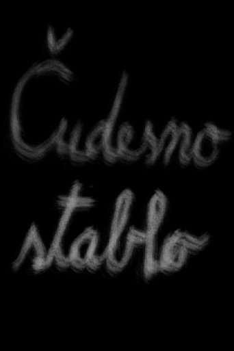 Čudesno stablo