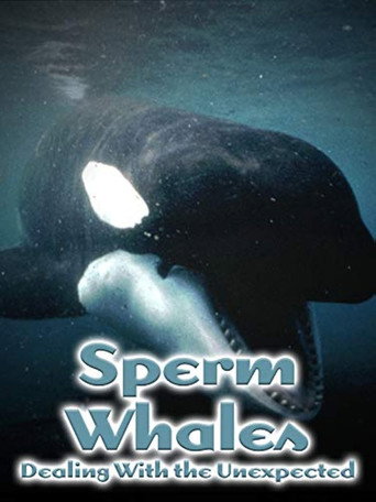 Sperm Whales: Dealing with the Unexpected (2005)