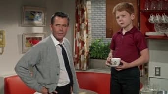 The Courtship of Eddie's Father (1963)