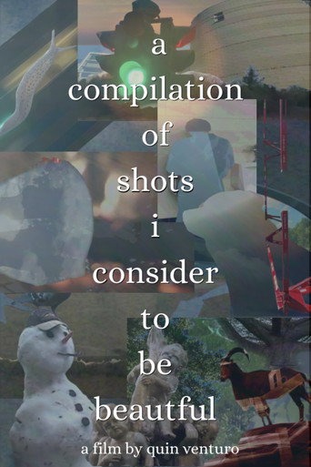 A Compilation Of Shots I Consider To Be Beautiful poster