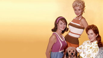 #5 Petticoat Junction