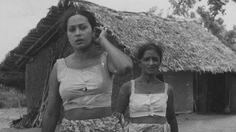Baddegama media image