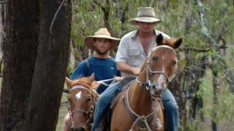 Survivor S2E12 poster