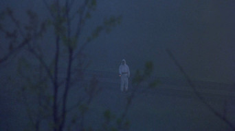 #34 The Crazies