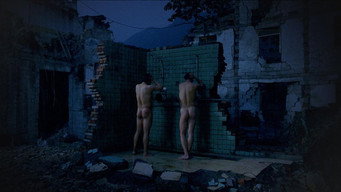 Fallen City (2011)