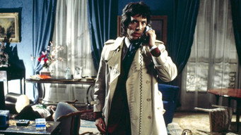 La mort d'un touriste (1975)