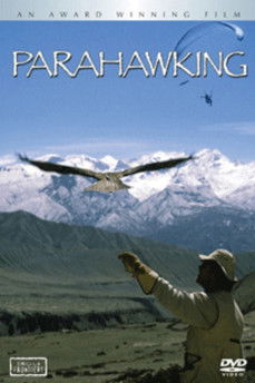 Parahawking poster