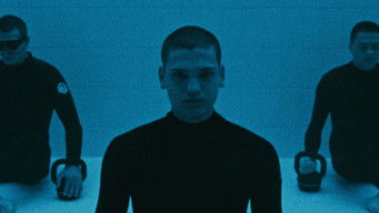 Galeria 3 - Un universo entre nosotros