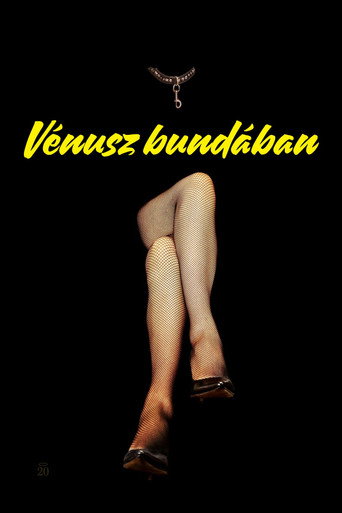 Vénusz bundában