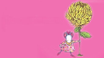 Chrysanthemum media image