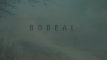 Boreal media image