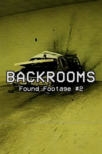 Backrooms (Found Footage #2)