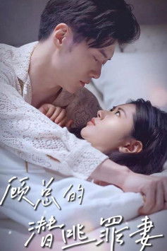 顾总的潜逃罪妻 poster