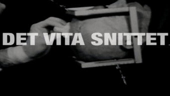 Det vita snittet (2010)