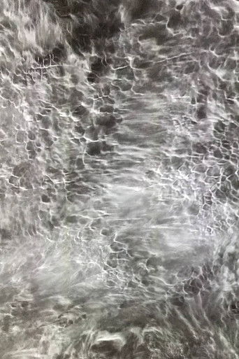 Sentient Ocean poster