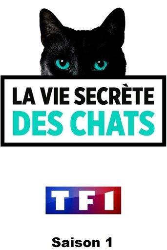 La Vie secrète des chats: Season 1
