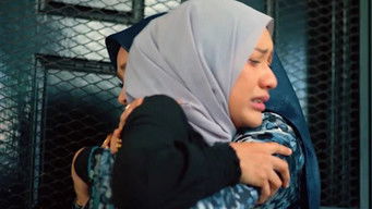 Episode 26 — Episode 26