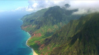 #5 Wild Hawaii