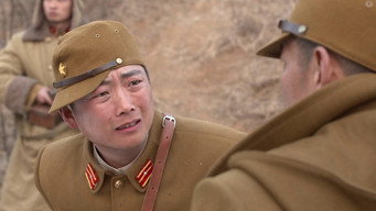 Episode 29