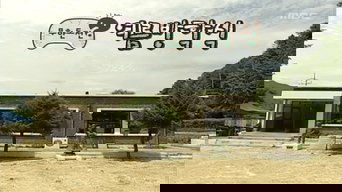 View Image