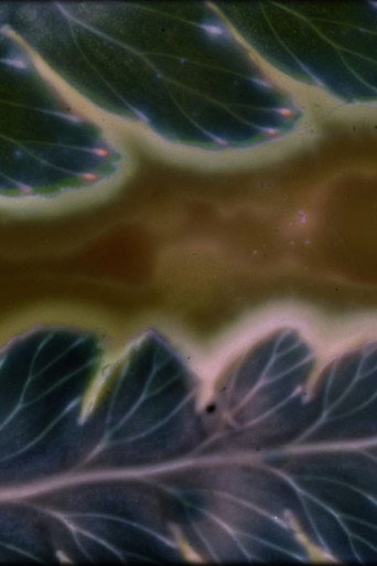 Phytophonics