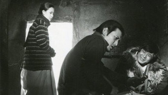 Wanderer (1978)
