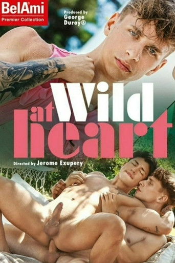 Poster de Wild at Heart