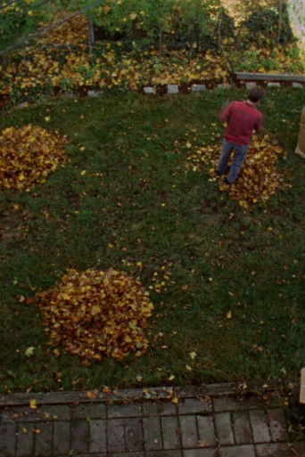 Backyard on Saint Rose poster