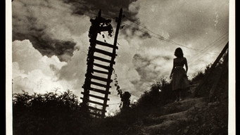 O Gigante de Pedra (1953)