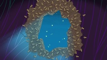 Cena de Episódio 12