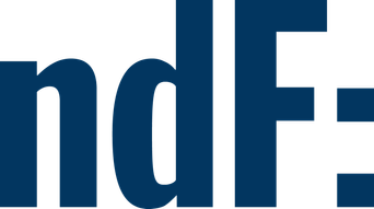 Neue Deutsche Filmgesellschaft