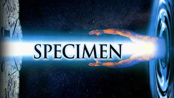 #4 Specimen